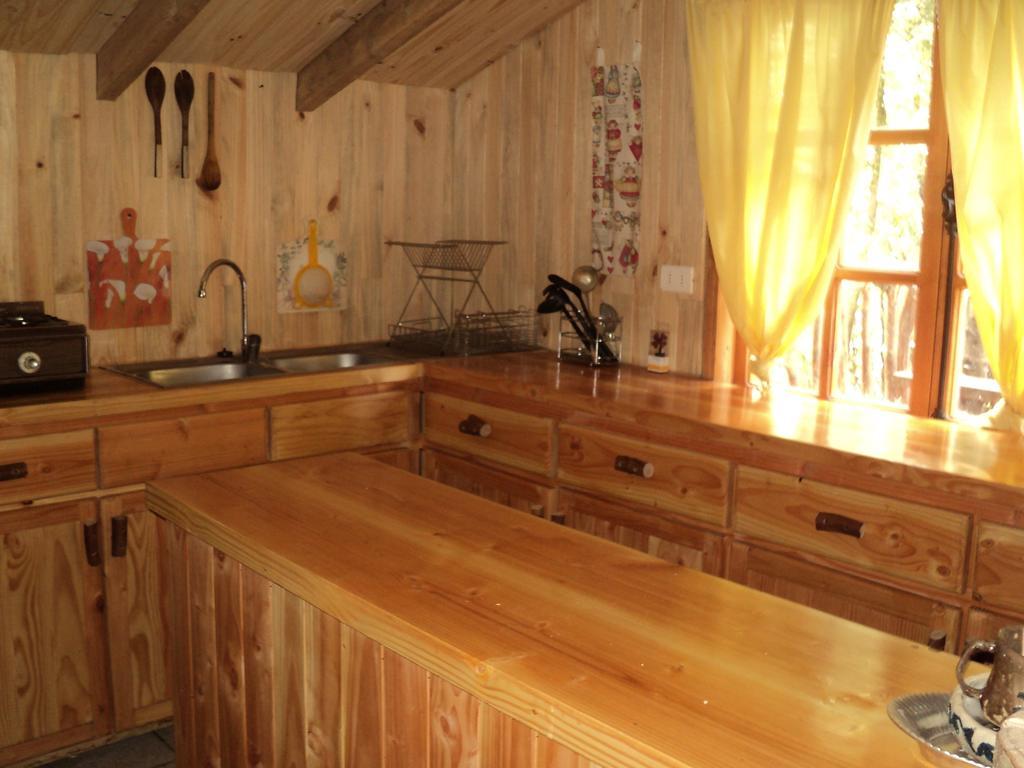 Cabana Rustica Patagonia Chilena Coñaripe Cameră foto