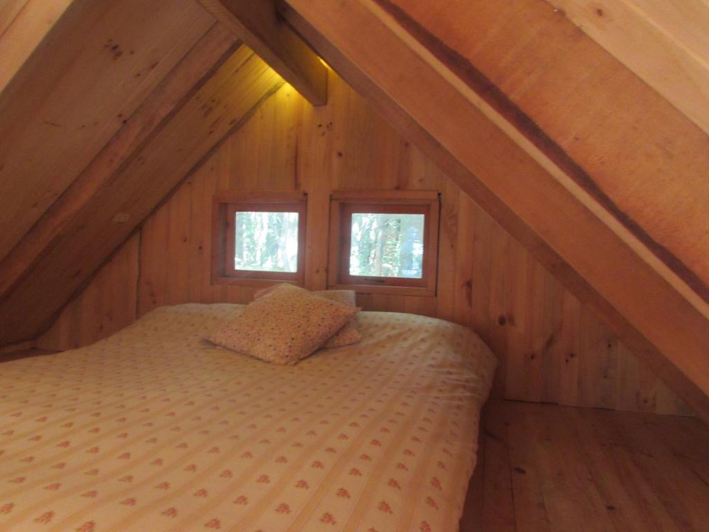 Cabana Rustica Patagonia Chilena Coñaripe Cameră foto