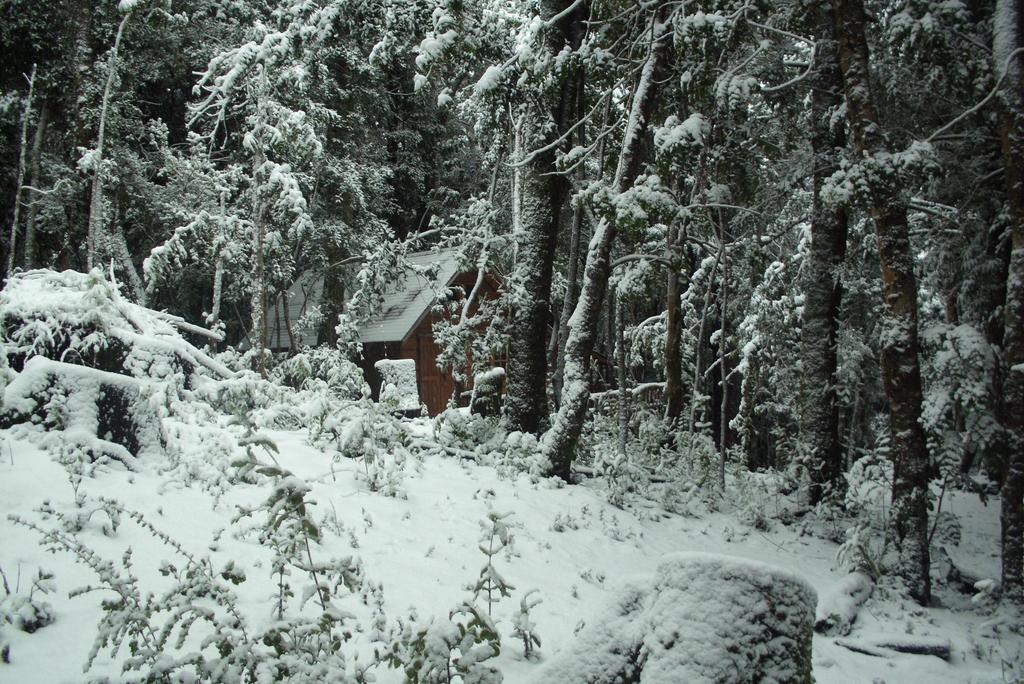 Cabana Rustica Patagonia Chilena Coñaripe Cameră foto
