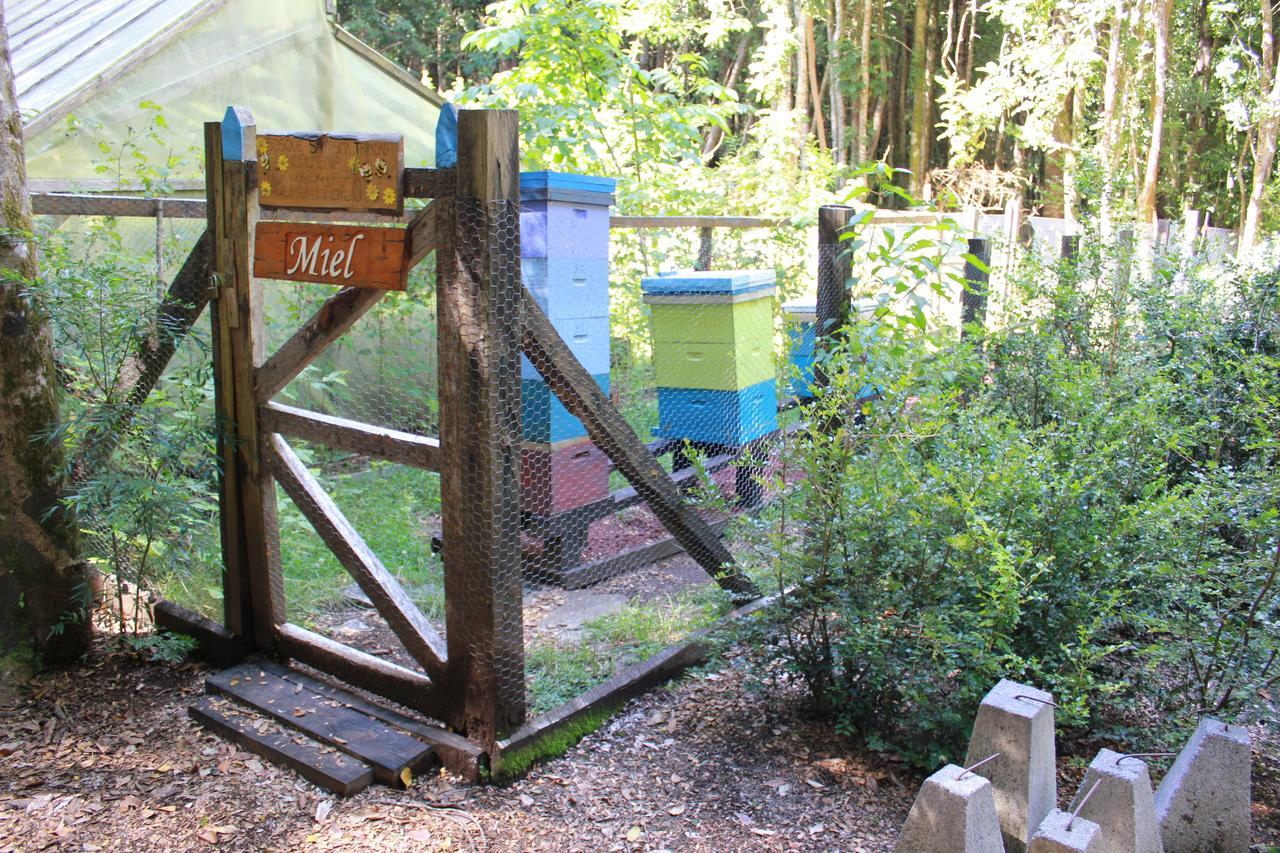 Cabana Rustica Patagonia Chilena Coñaripe Exterior foto