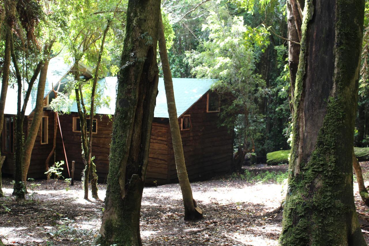 Cabana Rustica Patagonia Chilena Coñaripe Exterior foto