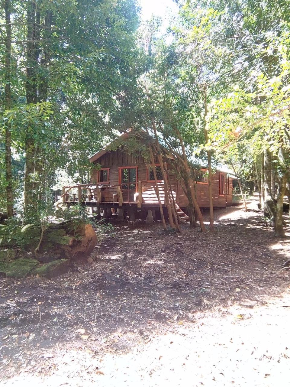 Cabana Rustica Patagonia Chilena Coñaripe Exterior foto
